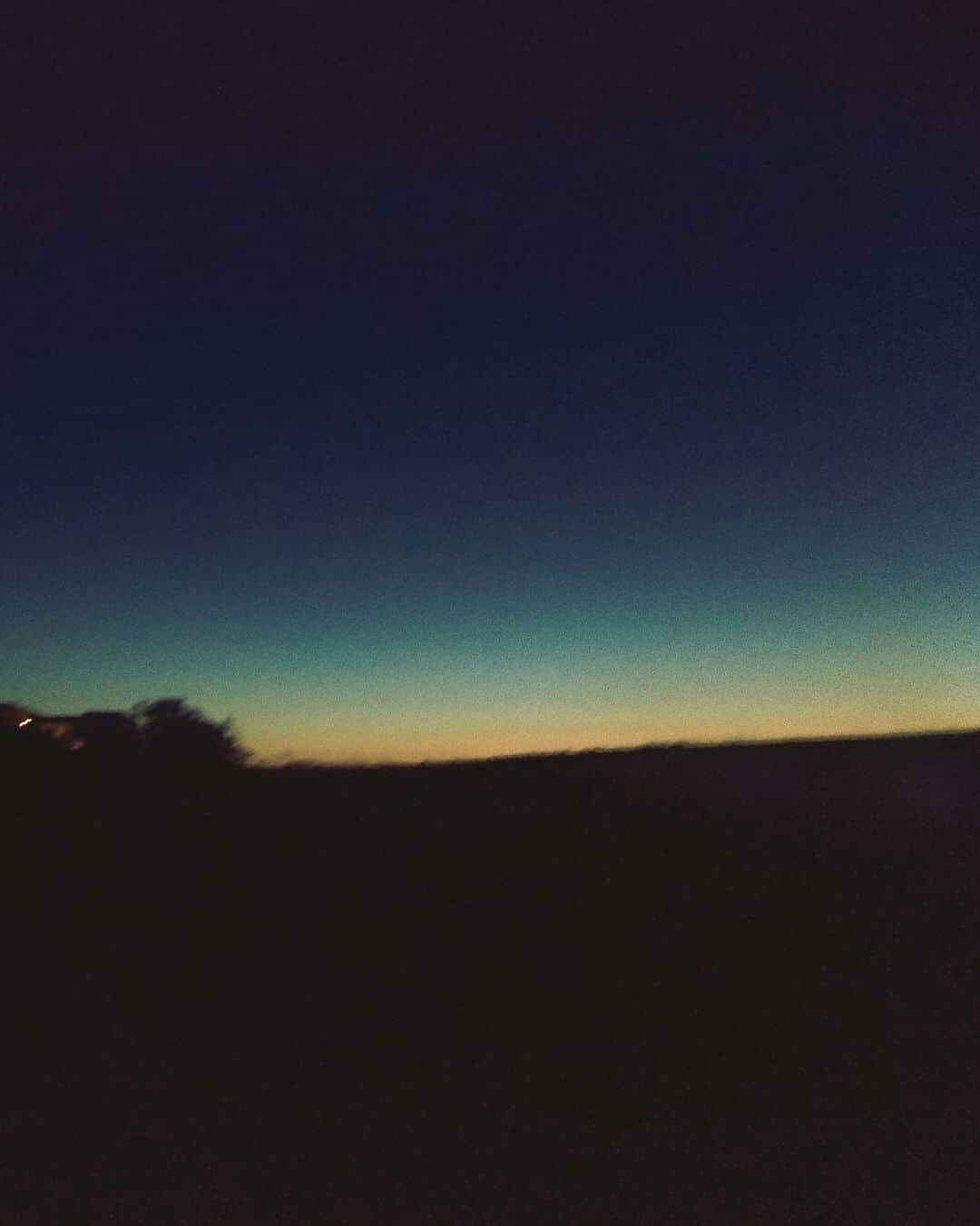 _msy_tのインスタグラム：「Twilight.」