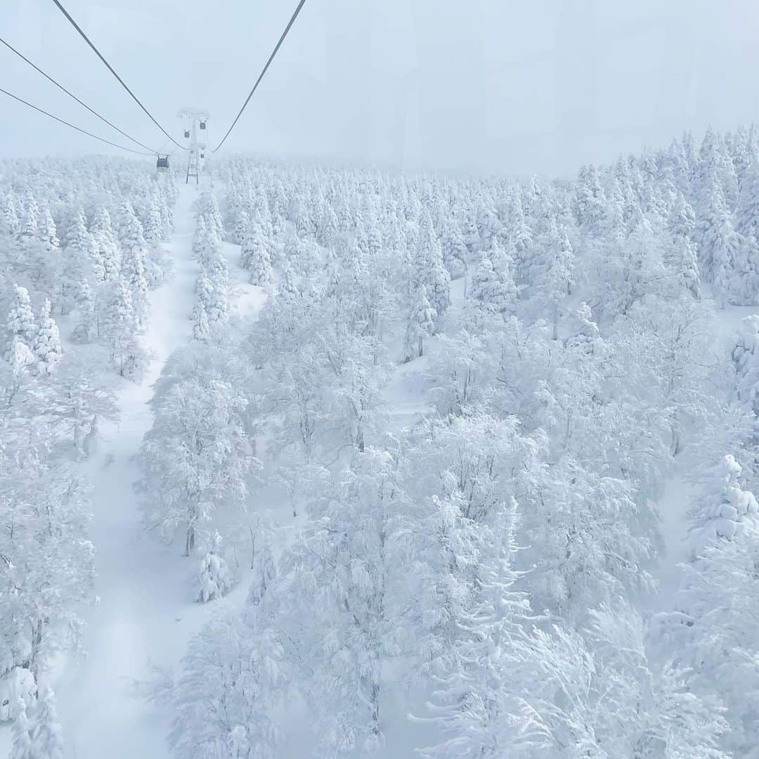 武藤彩芽のインスタグラム：「. . 先日、蔵王温泉スキー場へいってきました❄️  ずっと見てみたかった樹氷を間近で見ることができ、 大好きなスキーもできて満足でした😌🤍  スキー終わりの温泉も最高だったな🐻‍❄️」