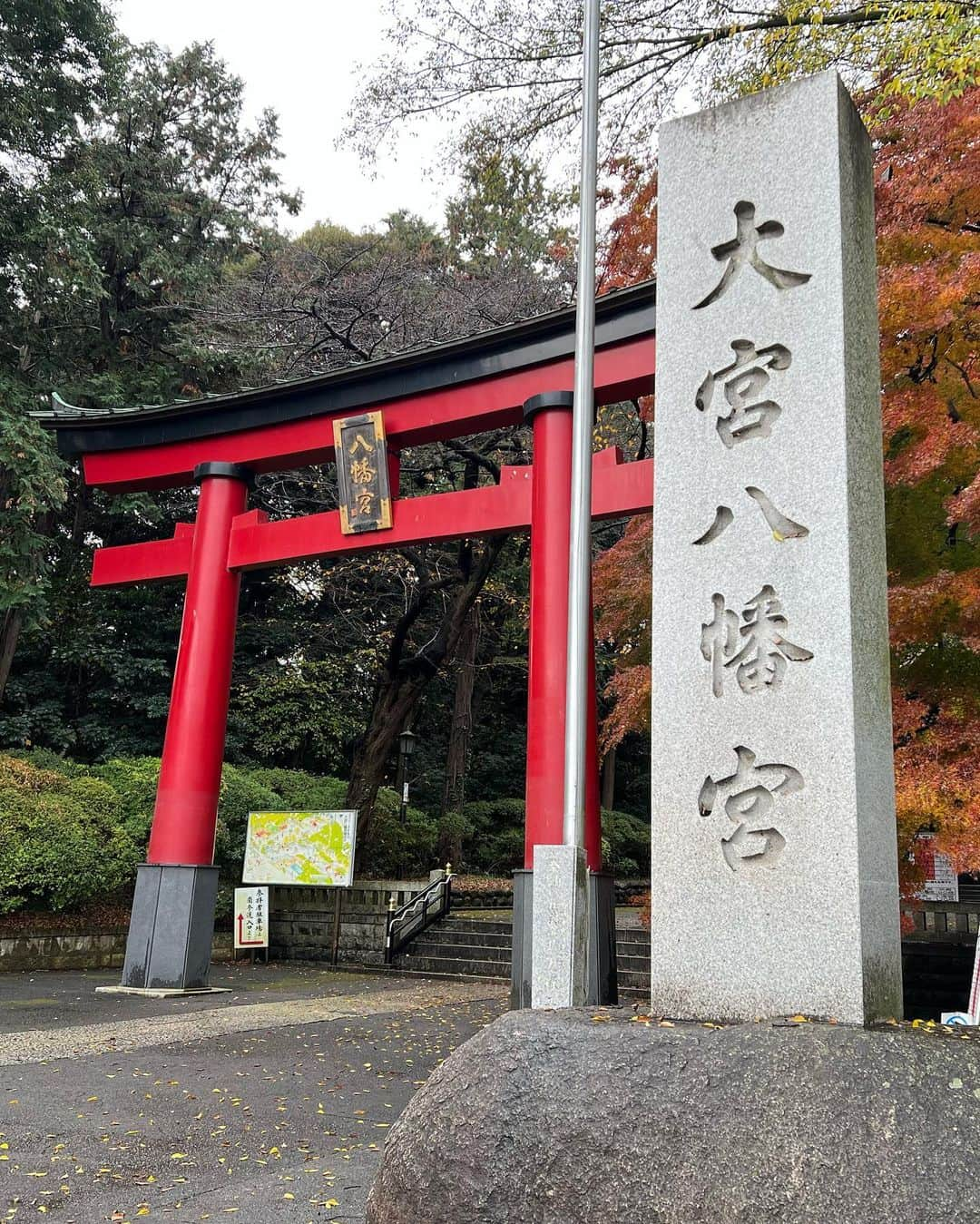 たけるのインスタグラム：「【最近の参拝歴】 今回は鳥居3セット差し上げます。 三つとも明神鳥居というものらしいです。  大宮八幡宮　東京　杉並 赤色は魔除けの色なんだって。 赤鳥居カッケェ  代々木八幡宮　東京　代々木 これは二之鳥居かな？ 入って2個目にある鳥居らしい。 鳥居カッケェ  明治神宮　東京　原宿 一番好き。 去年鳥居を100年ぶりに建て替え。 綺麗。 鳥居カッケェ  #東京ホテイソン #たける #神社 #鳥居カッケェ #備中神楽 #お笑い芸人」