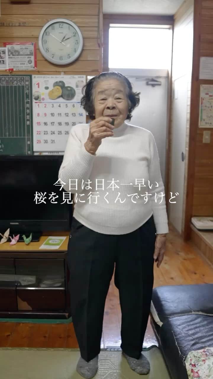 南の島のおばーと孫のインスタグラム：「日本一早い桜祭りに行く時のコーデ  #コーデ紹介 #沖縄」