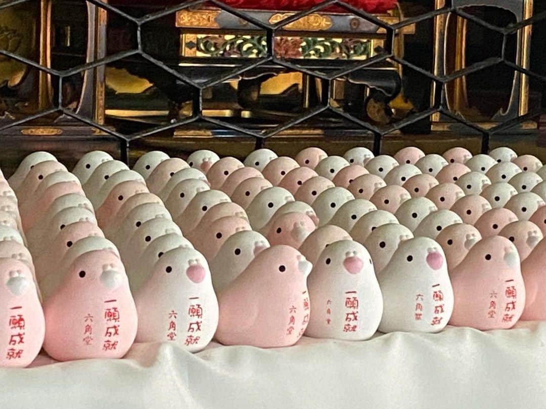Atsukoのインスタグラム：「・ 京の街散策 ・ 六角堂からアアルトコーヒーさんへ。その後はあてもなく街散策。移り変わりゆくものとそうでもないものの差を感じつつ、寒さでどうしようもないなか、立ち寄ったカフェで自分を認識してもらえるありがたさ。 ・ ・ ＊」