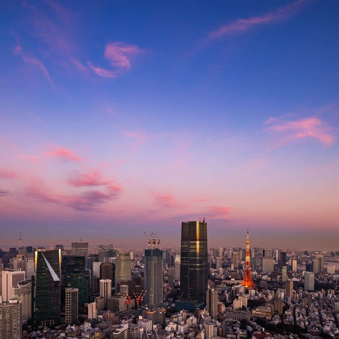 Tokyo City View 六本木ヒルズ展望台のインスタグラム