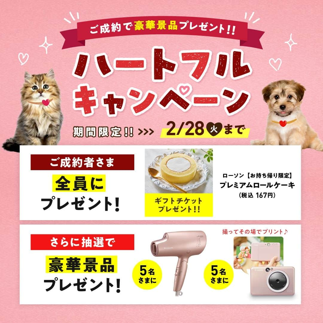 アイペット ペットスナップキャンペーンのインスタグラム：「＼本日より開催‼／ ❤🐶ハートフルキャンペーン😺❤  新規ご成約キャンペーンを開催いたします！  ❤ご成約者さま全員に 本キャンペーンでは、期間中にお申込みいただいたご成約者さま全員にデジタルギフト「ローソン【お持ち帰り限定】プレミアムロールケーキ」をプレゼントいたします✨  ❤抽選で10名さまに 期間中にお申込みいただいたご成約者さまの中から抽選で合計10名さまに、ヘアドライヤーナノケアとキヤノンインスタントカメラプリンターをプレゼント！  キャンペーンの詳細は、プロフィールにある公式サイトのリンクからご確認ください！」