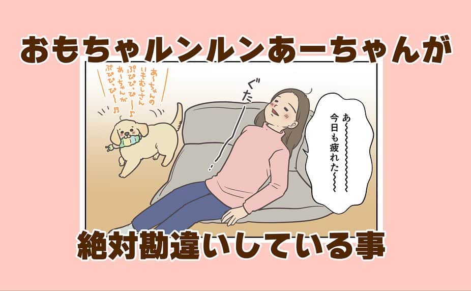 餅付きなこのインスタグラム：「アイビーはおもちゃが大好きで、お部屋でフリーにしている時はおもちゃを咥えてルンルンしていることが多いんです。  そんなルンルンあーちゃんが大好きな場所は、先代あーちゃんも愛したコーナーソファの上♡  私がいようがいまいがお構いなしでソファ（と私）の上でルンルンおもちゃ遊びを楽しむアイビーなのでした♡  アイビーの日頃の写真やリールも投稿している写真アカウント @kinako.mochi  もぜひぜひよろしくね♪  #漫画 #イラスト #犬漫画 #絵日記 #エッセイ漫画 #コミックエッセイ#マンガ #日常漫画 #ゴールデンレトリバー #goldenretriever #ゴールデンレトリーバー #犬と生活 #4コマ漫画 #犬 #dog #dogstagram #instadog #わんこ #ふわもこ部 #いぬ #ilovemydog #いぬのきもち #大型犬 #大型犬のいる生活 #まめとアーティ #餅付きなこ #おさんぽですし！」