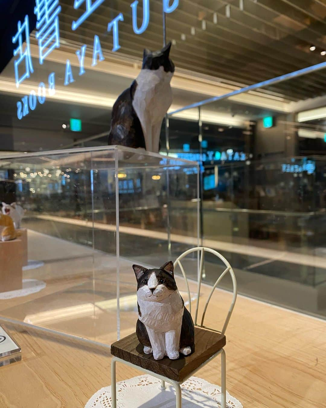 yamanekoのインスタグラム：「GINZA SIXのエスカレーターで登ってくる人々を窓から見ているハチワレちゃん😸  @ginza_tsutayabooks_travel  #銀座蔦屋書店 #ginzasix #ハチワレ#ねこ#ねこ部 #ねこすたぐらむ #猫彫刻 #木彫り猫 #バンナイリョウジ #cat #catsofinstagram #catstagram #catsculpture #catcarving #sculpture #woodsculpture #ryojibannai」