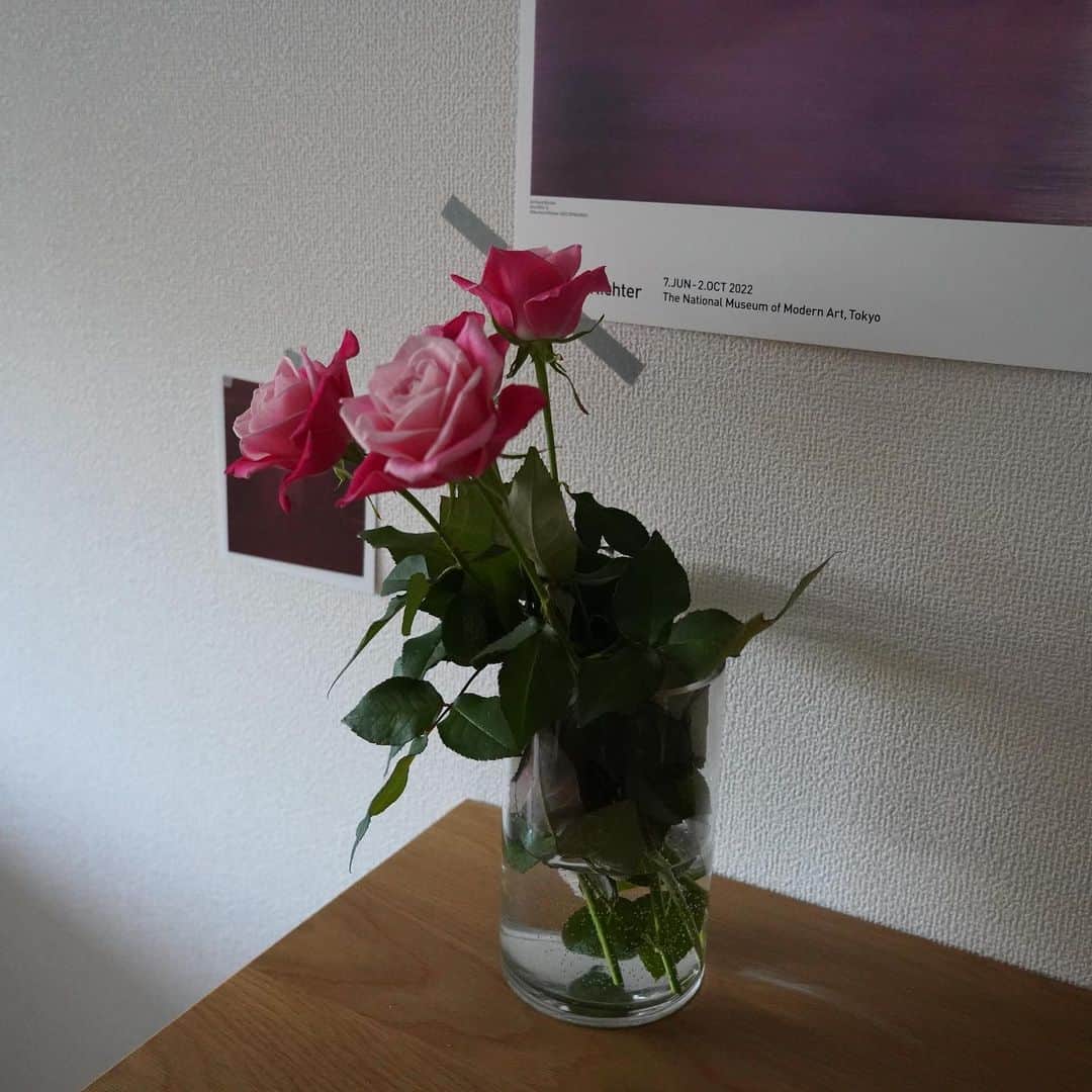 わちみなみのインスタグラム：「お花屋さんではないところで たまにお花が売ってるので 見かけたら買います🍝  珍しいような見た目のバラなど多く、 気に入ってる  内側にある花びらの色が薄くて かわいいです😋」