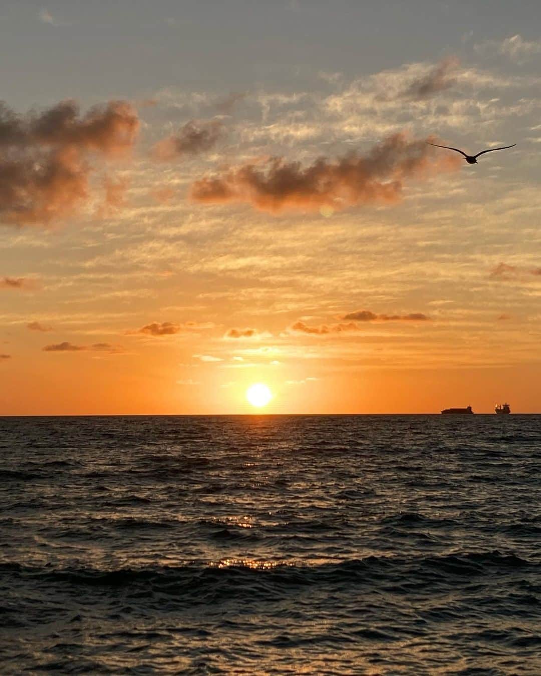 白鳥羽純のインスタグラム：「🌅 マイアミのSunset…? Sunrise…? 朝方と夕方って似てるからなあ笑笑  #newyeartravel #Miami #sunriseorsunset」