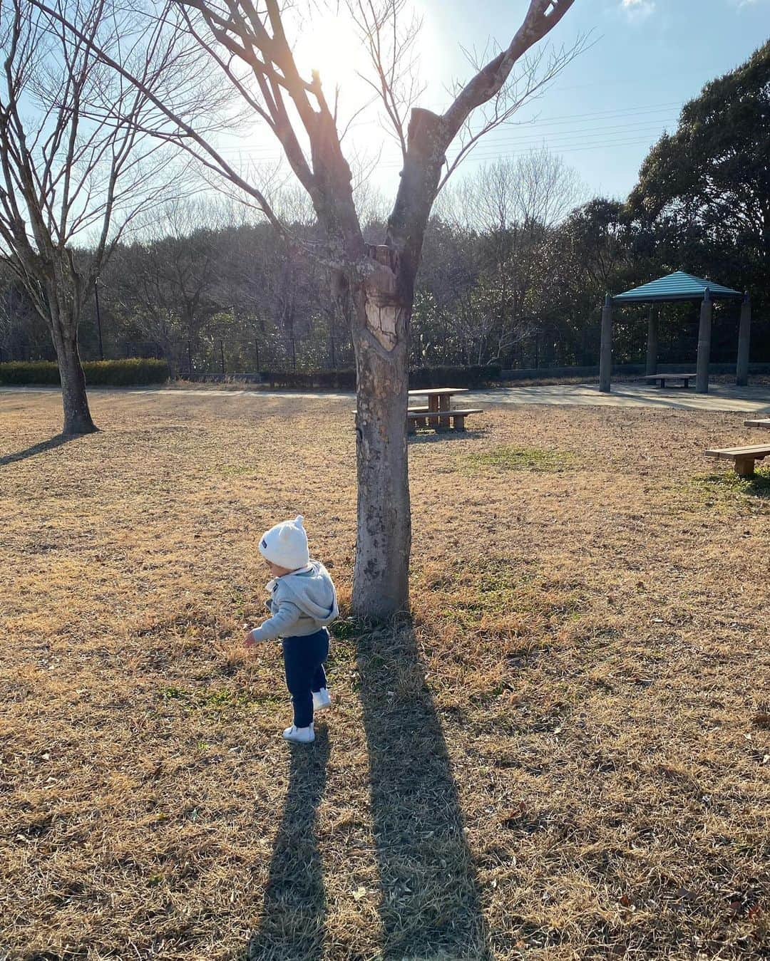 大寺かおりさんのインスタグラム写真 - (大寺かおりInstagram)「先日福岡でちょっとした手術を受けまして 検診→手術→抜糸まで2週間→検査結果までさらに1週間→普通に家事育児できるようになるまでにトータル1ヶ月、ということで実家にて親に育児を頼りまくりながらゆっくり過ごしております。 . 大した手術ではないんですが 足の手術だったので抱っこができなくて もどかしい日々を過ごしていましたが 先週抜糸も済んでやっとお散歩も 一緒に行けるようになりました👶 . 不安だった検査結果も問題なくてホっ。 (家族で乾杯しました。ノンアルで) . 最後から2、3枚目は手術翌日の病院に行くとき。 腫れて痛くて履ける靴が無くて 雨だしどうしようと困っていたら 父がお米の袋を持ってきてくれて (これが1番分厚くて丈夫そうだからと) 山形県産米のつや姫の袋を履いて 病院に行きました😂ハズ😂 . まだ少し痛むのでもう少しゆっくりしてから 東京に帰ります✨ . さぁ今日から２月⚾️ プロ野球はキャンプイン✨ ドキドキわくわく🔥 . 福岡にいるとホークス情報満載だから 嬉しい嬉しい嬉しい😆 . #12ヶ月ベビー #ホークスのユニフォーム #母が買っててくれました #完全に大寺家に染まる息子 #早く一緒に試合観戦行きたいな #福岡 #居心地良すぎ #しかし寒い #連日雪でした #お庭の雪景色なかなか良き #プロ野球 #キャンプイン #あけましておめでとうございます」2月1日 18時27分 - kaori_ootera