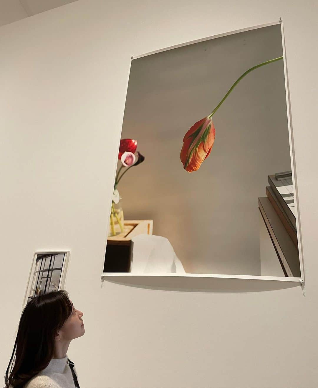 小橋めぐみのインスタグラム：「「HANGING TULIP」  部屋の中で、垂れてしまったチューリップのように見えるけれど、 右の本のようなモノをビルに見立てると、 空を仰いで撮ってるようにも見えてくる。  花は、蕾も満開も、枯れかけも萎れかけても、 それぞれ美しいね🌷  Wolfgang Tillmans: MOMENTS OF LIFE  ESPAS LOUIS VUITTON TOKYO 2023.02.02-2023.06.11  #wolfgangtillmans #art #espaceluisvuitton」