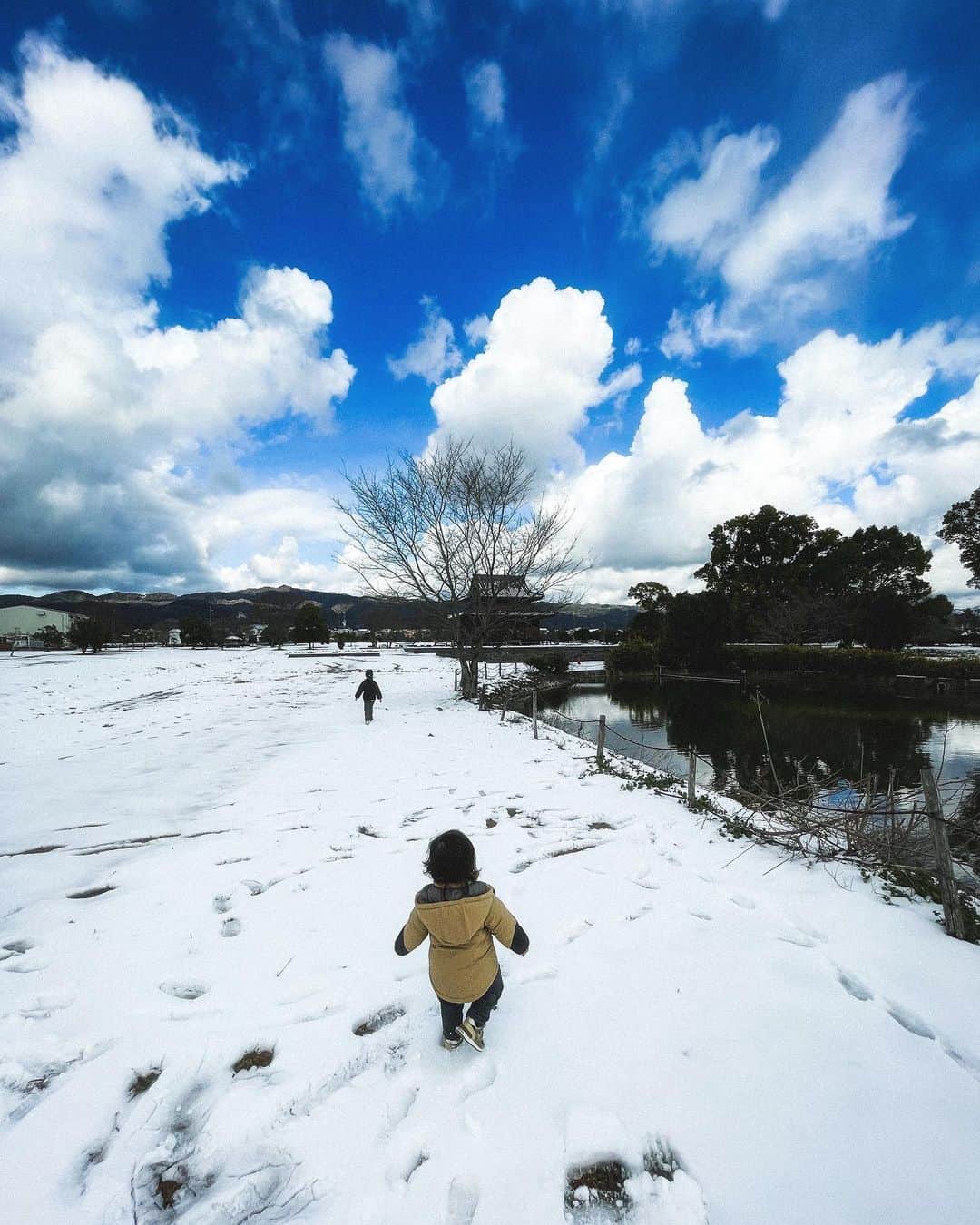 Yuichi Nataのインスタグラム：「・ ・ ☃️ ・ ・ #こんな毎日をありがとう  #雪」