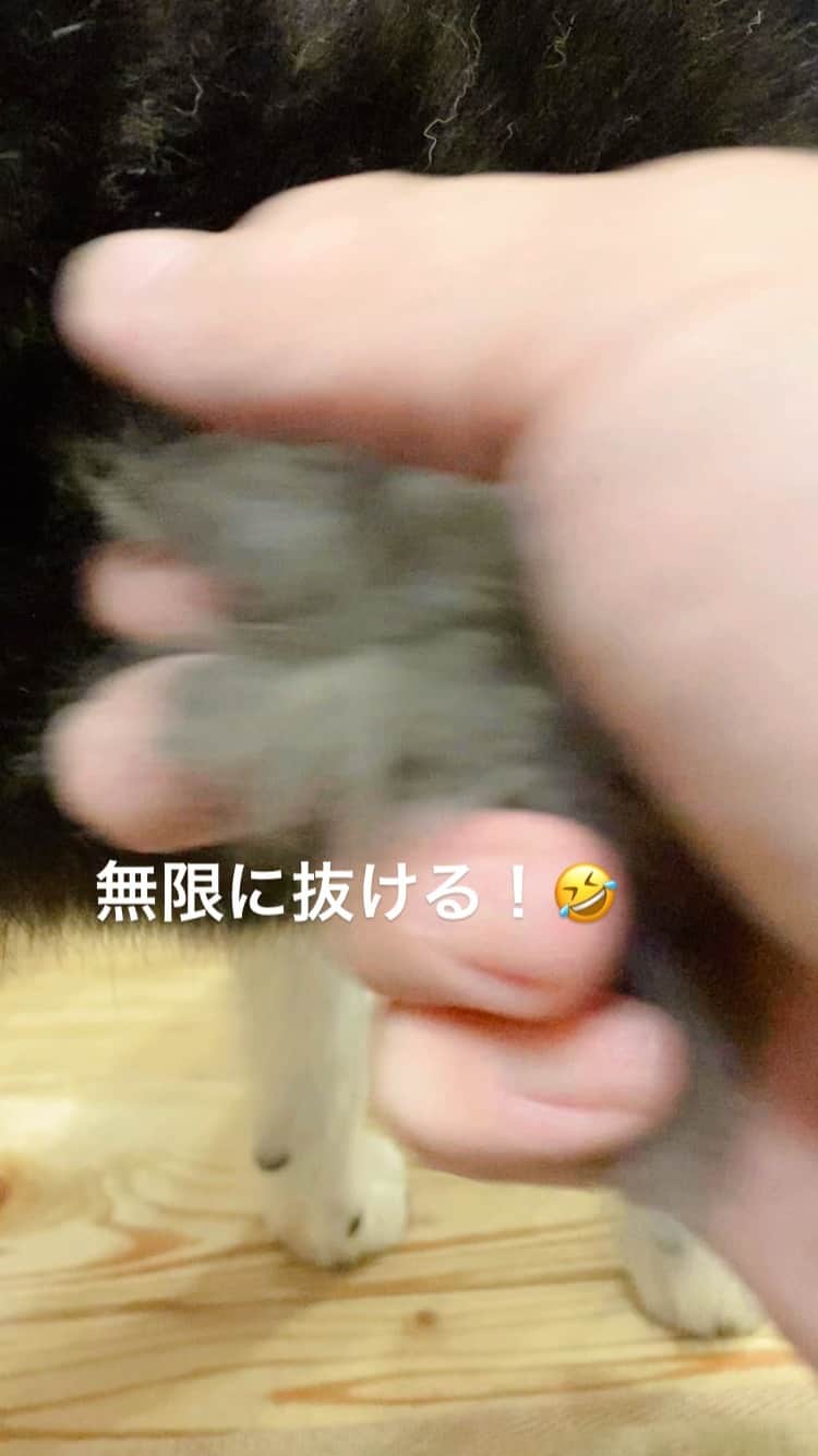 のインスタグラム
