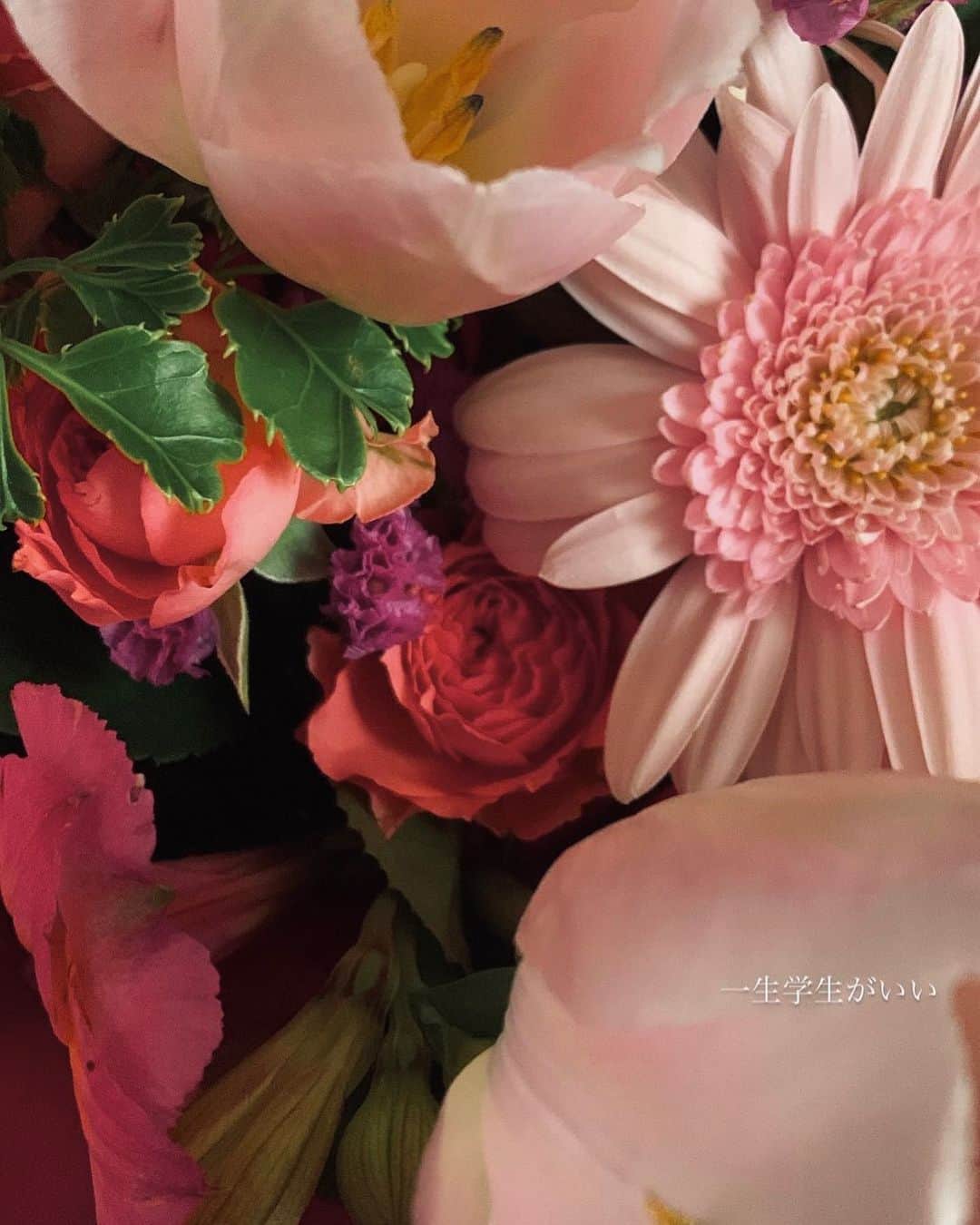 中桐菜々子のインスタグラム：「. 🌸💐🌷  #お花 #花 #花束 #日常」