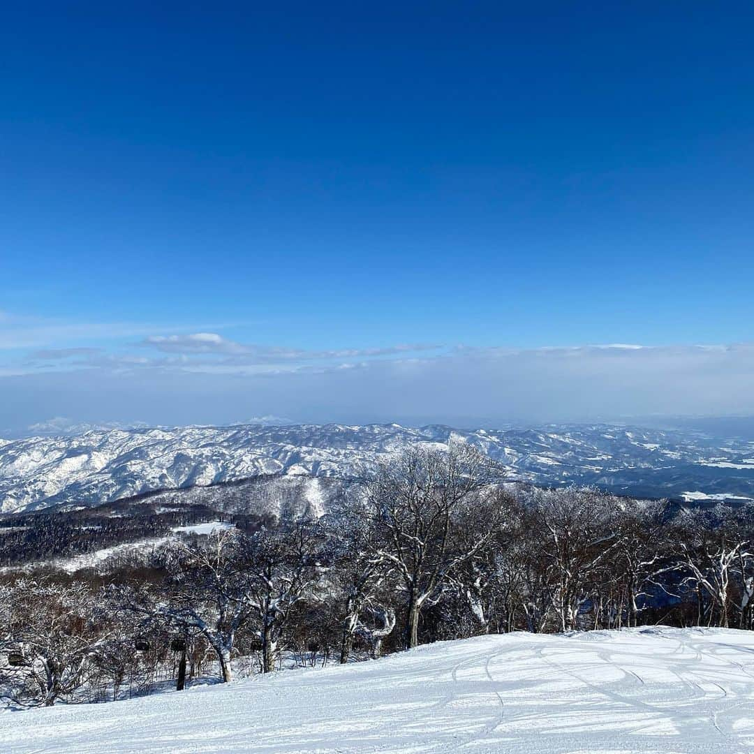 桧山進次郎さんのインスタグラム写真 - (桧山進次郎Instagram)「新ゴーグル‼️  今季はなかなか天気に恵まれず良い環境で滑れてなかったけど前日は雪。そしてこの日は快晴で最高のコンディション😁 雪山の天候ってわずか数分で晴れたり曇ったりで環境が凄く変わりやすいけどどの状況になってもこのゴーグル見やすい⤴️ 安全に気を付けて滑ります🏂 #dice  #diceゴーグル  #dicesnowgoggles  #調光レンズ  #偏光レンズ  #山本光学  #雪山  #快晴  #曇り空  #全天候型  #スノボ  #桧山進次郎」2月1日 21時35分 - hihihihi_yan