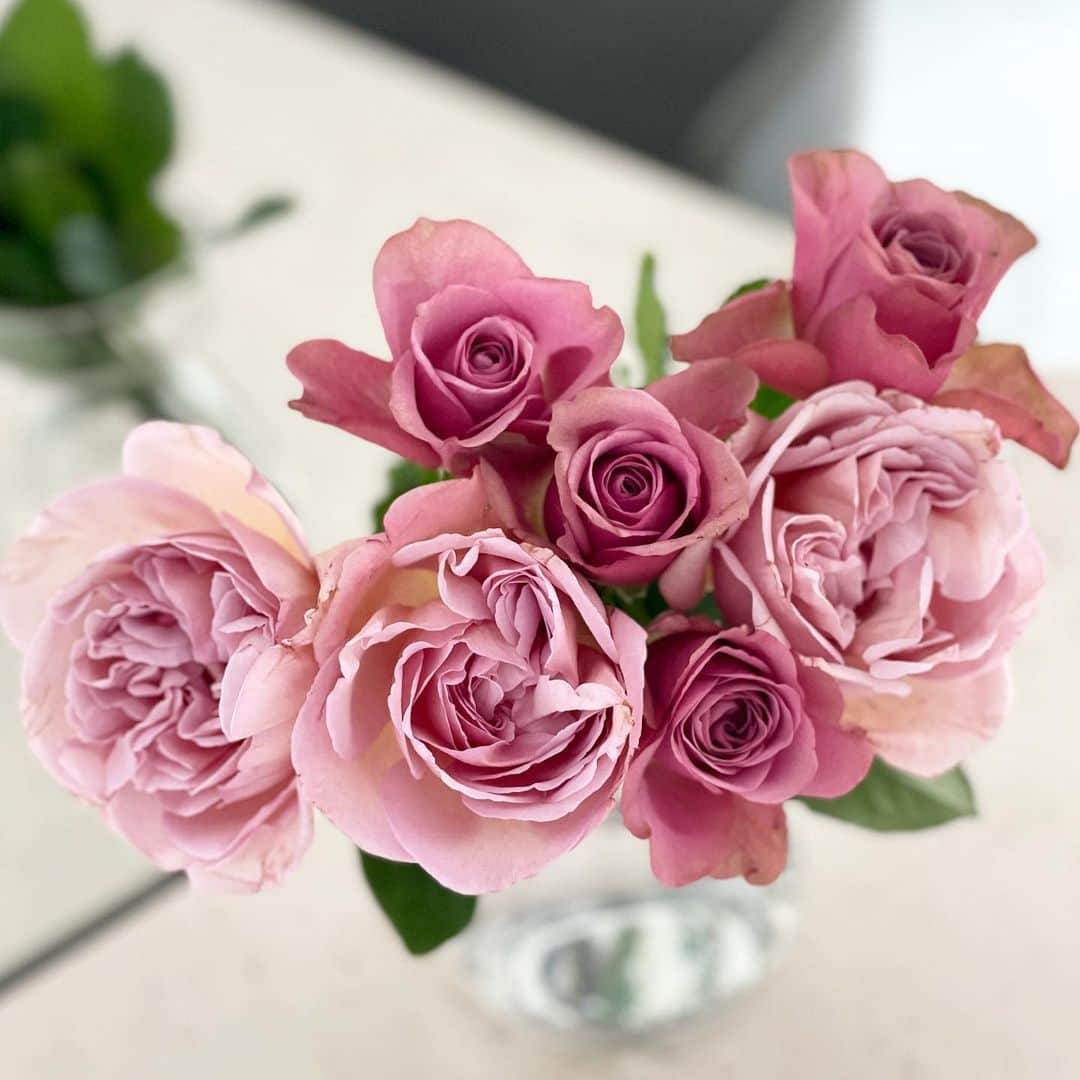 のインスタグラム：「・ ・ アンティークローズ˚✧₊⁎ 色合いが素敵だなぁ♡  毎週木曜日にやらせていただいている @lialapg のインスタライブですが この2月からは隔週で スタッフライブをしてもらうことになりました♡  また今週のLIVEは金曜日（明日）になります！  様々な身長・体型の方の着用をご覧いただける ようになると思いますので ご意見・ご要望、ライブコメントにお寄せください！  #gm #roses #flowers #バラ #お花のある暮らし #アンティークローズ」