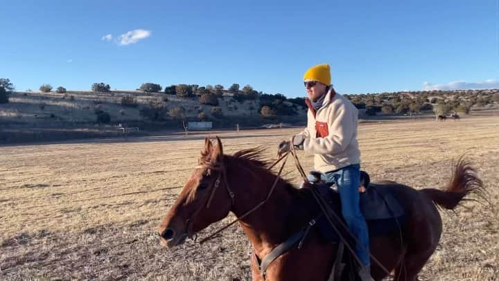 デイン・デハーンのインスタグラム：「🐎」