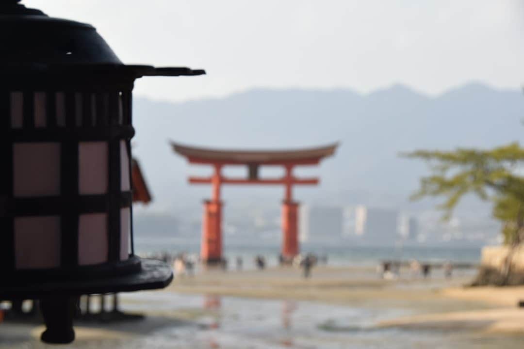 夢咲ねね（赤根那奈）さんのインスタグラム写真 - (夢咲ねね（赤根那奈）Instagram)「. 厳島神社にも行ってきました⛩✨  もう何年振りかな。 修学旅行と全国ツアーで訪れたような気がするのですが、 とにかくとても久しぶりな事は間違いない。。  なんだかこの鳥居、オープニングと最後の場面の鳥居みたいですよね笑  #ミュージカル　#東京ラブストーリー #広島　#厳島神社 #大鳥居　#⛩」2月2日 6時36分 - yumesaki__nene