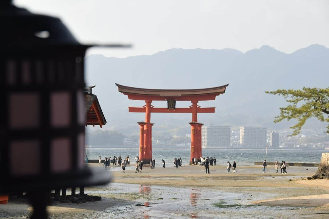 夢咲ねね（赤根那奈）のインスタグラム：「. 厳島神社にも行ってきました⛩✨  もう何年振りかな。 修学旅行と全国ツアーで訪れたような気がするのですが、 とにかくとても久しぶりな事は間違いない。。  なんだかこの鳥居、オープニングと最後の場面の鳥居みたいですよね笑  #ミュージカル　#東京ラブストーリー #広島　#厳島神社 #大鳥居　#⛩」