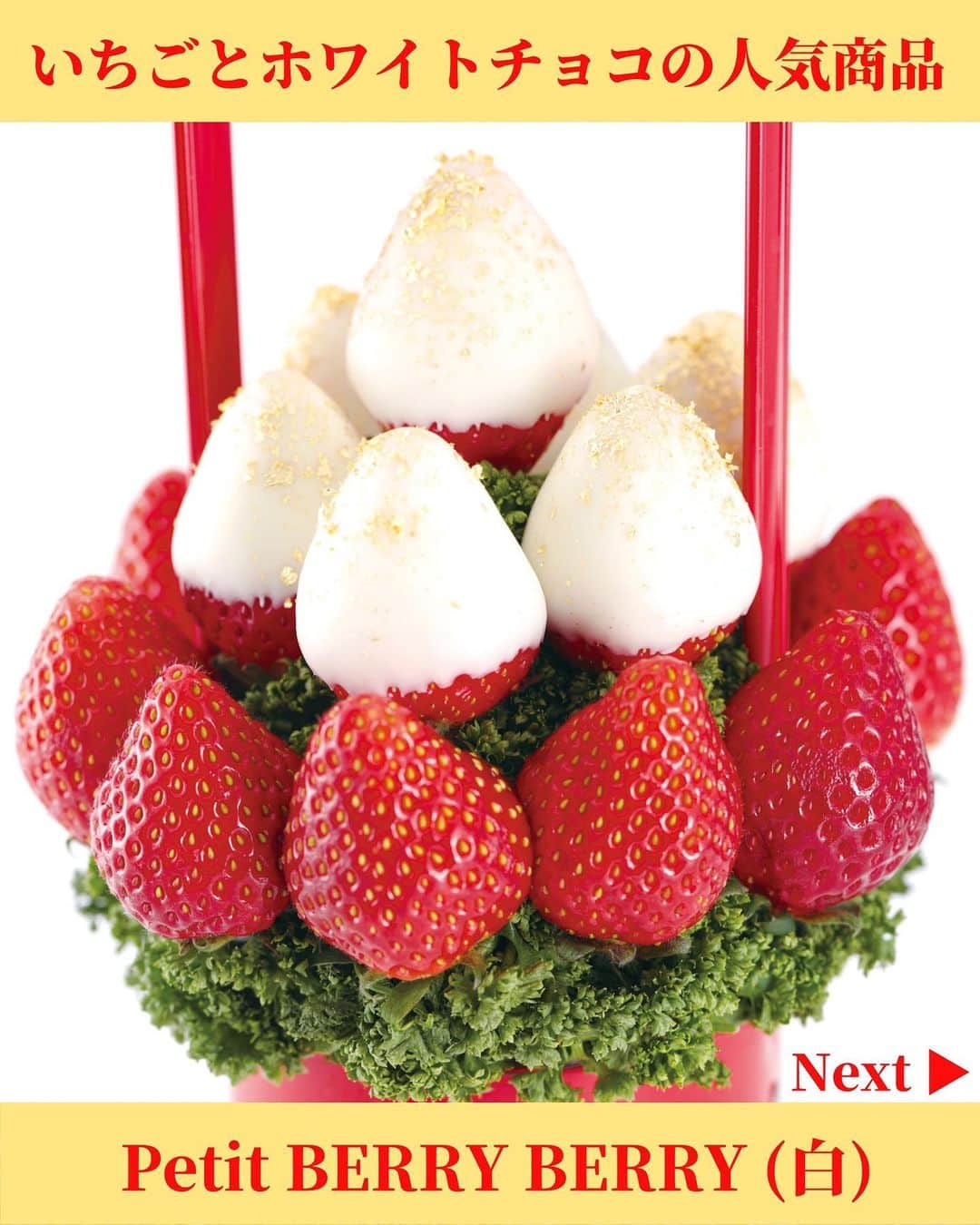 Fruit-bouquets.comのインスタグラム：「【冬季限定】Petit Berry Berry (白) 白と赤のコントラストが美しいフルーツブーケ💐  ホワイトチョコレートとイチゴのシンプルで洗練された見た目と味わいをご堪能ください🍓  #フルーツブーケ #フルーツギフト #フルーツケーキ  #誕生日プレゼント #バレンタイン #バレンタインデー  #お取り寄せスイーツ #お取り寄せグルメ  #いちご #いちごスイーツ #いちごケーキ #いちごパフェ  #フルーツパフェ #インスタ映えスイーツ  #スイーツ好きな人と繋がりたい  #バレンタインチョコ #バレンタインスイーツ  #バレンタイン限定 #バレンタインチョコレート  #バレンタインケーキ #スイーツ #スイーツ女子  .」