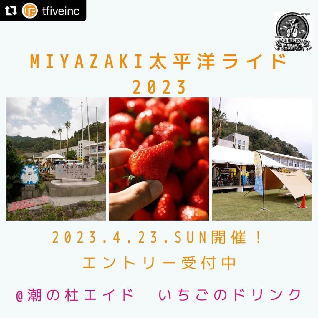 山本隆弘さんのインスタグラム写真 - (山本隆弘Instagram)「#Repost @tfiveinc with @use.repost ・・・ 【MIYAZAKI 太平洋ライド2023】   【潮の杜エイド】ではあろはすファーム様の苺🍓を使ったいちごドリンクが提供されます。太陽の恵みをいっぱい浴びた宮崎イチゴをご堪能ください🍹  いちごにはビタミンCの宝庫‼️ みかんよりも多いんですよ💫 ビタミンＣは、もともと「疲労のためのビタミン」とも呼ばれ、体の免疫力を高めたり、疲労感をためないために働いていますので参加者の皆さんにもってこいですね🌟  2023年4月23日（日）開催！！  エントリー受付中です！ ぜひご参加ください‼️  スポーツエントリーからお申込みお願いします。 sportsentry.ne.jp/event/t/90110 🚴‍♂️  #MIYAZAKI太平洋ライド #自転車イベント  #ライドイベント  #funride  #日南海岸 #新エイドポイント #デモンデマルシェ #海と鬼の洗濯板 #絶景ポイント #エイドグルメ」2月2日 15時06分 - yamamototakahiro5