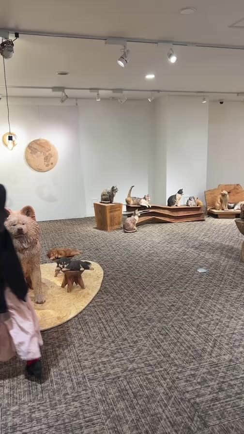 はしもとみおのインスタグラム：「ギンザタナカ本店　東京　銀座 はしもとみお木彫り展 「時をかけるケモノたち」 2/3(金)〜3/19(日) 2/3のみ13:00から 11:00-18:00(入場17:30まで)  ギンザタナカ5階ホール 入場無料  オープニング前インスタライブしました、充電なくて急ぎ足ですみません！ ぜひ遊びに来てくださいね〜  音響　itoken @harpyitoken  展示装飾　ループ舎　@loop_sha  象鯨家具　@zougeicarved_official   #はしもとみお#miohashimoto #exhibition #ginza #銀座#展覧会」