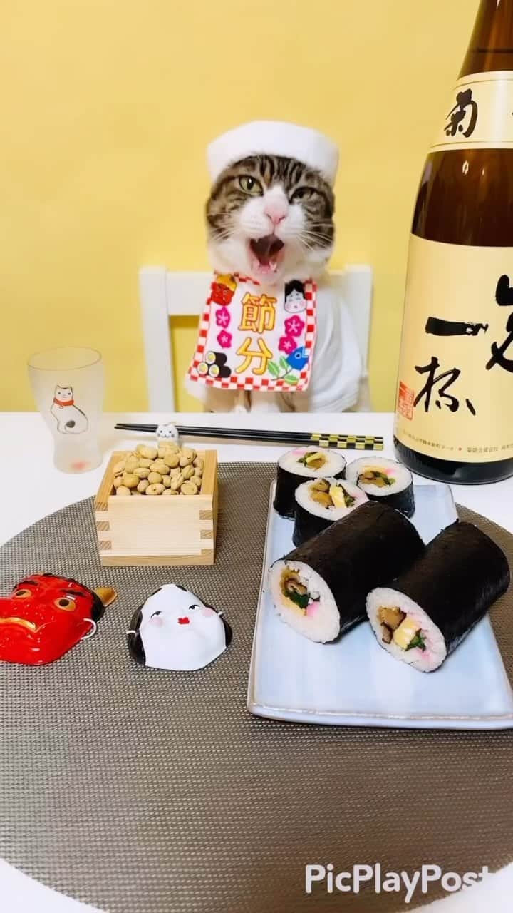のインスタグラム：「👹明日は節分👹　 ✴︎ 2月もマロペースな投稿になると思いますが よろしくお願いします🙇‍♀️ いつもコメントありがとうございます😸🙏❤️ 全て拝見しています🐾 ✴︎ Thank you for your kind comments😸🙏❤️ ✴︎ #cat#cats#catsofinstagram#sweetcatclub#😻 #japaneseculture#sushi#setsubun#ねこ#猫 #ねこすたぐらむ#ねこのいる生活#ねこ部#節分 #恵方巻き#保護猫」