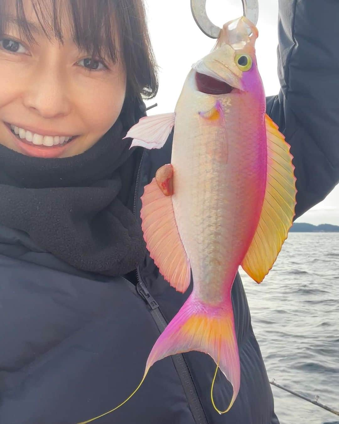 榎本加奈子さんのインスタグラム写真 - (榎本加奈子Instagram)「可愛い魚💕 シキシマハナダイ  #はじめまして シキシマハナダイ #🎣」2月2日 20時25分 - kanako._.enomoto