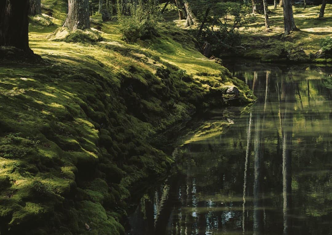 _msy_tのインスタグラム：「Greenery.」