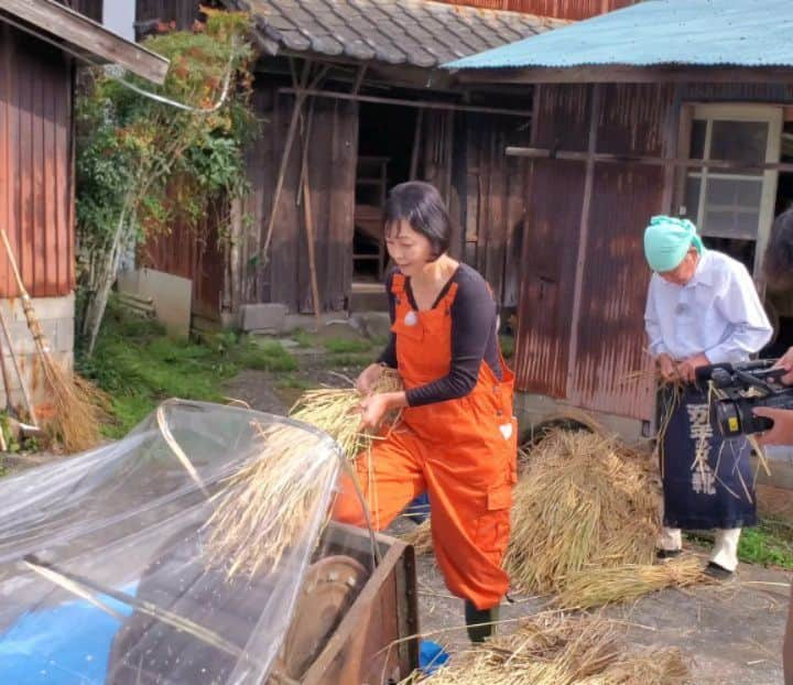 財前直見のインスタグラム：「🍙 田舎の倉庫から見つかった、足踏み式脱穀機！ 最初は失敗しちゃいましたが、既に克服済み！🤗 ちょっとやってみたくなりせんか？ 🍙 #足踏み式 #脱穀機 #役者魂で #克服！ #楽しい #リズムで #やってみたい？ #有吉ゼミ #直見工房 #財前直見 #🍙」