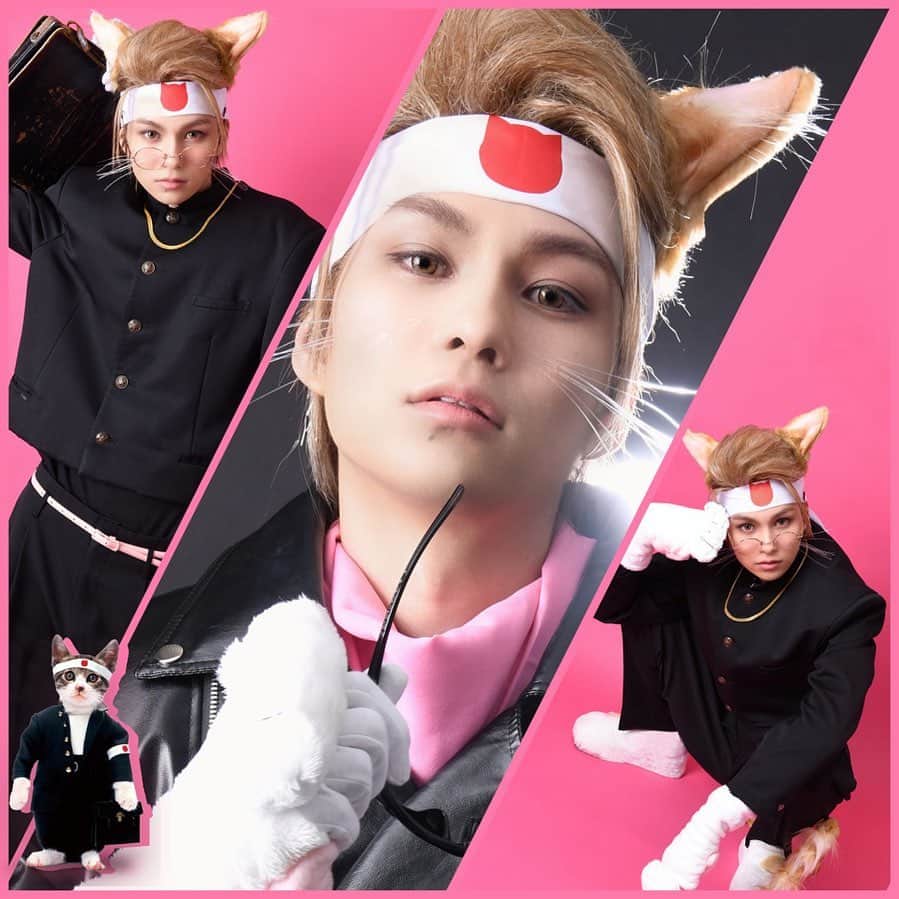 のインスタグラム：「舞台「なめ猫 on STAGE」 絶賛稽古中です🐱夜露死苦！  #舞台 #なめ猫 #noblecalmer #fashion #model #artist #actor #tiffany #일상 #데일리 #데일리 #좋아요 #셀피 #japan #tokyo #good #love #photooftheday #beautiful #happy #cute #selfie #me #nature #instagram #instagood #insta #instafashion #instamood #instadaily #Collars」