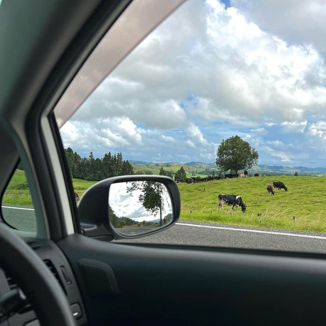 古関れんのインスタグラム：「🐄♡🇳🇿  海外で初めて運転したよ」