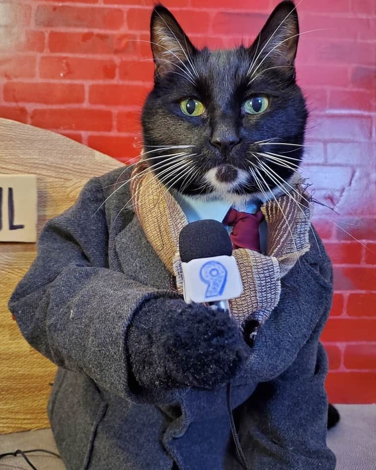 猫コスプレさんのインスタグラム写真 - (猫コスプレInstagram)「"Well it's Groundhog Day... again."  #GroundhogDay #philconnors  . . . . . #catcosplay #cosplay #cosplayer #cat #catcostume #catsinclothes #catsofinstagram #catstagram #petclothes #PetCostume #funnycats #tuxedocat #humor #funny」2月2日 23時59分 - cat_cosplay