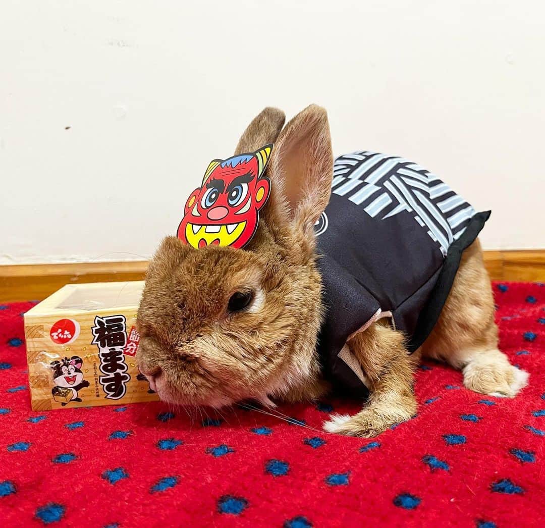 Chieko Shibutaのインスタグラム