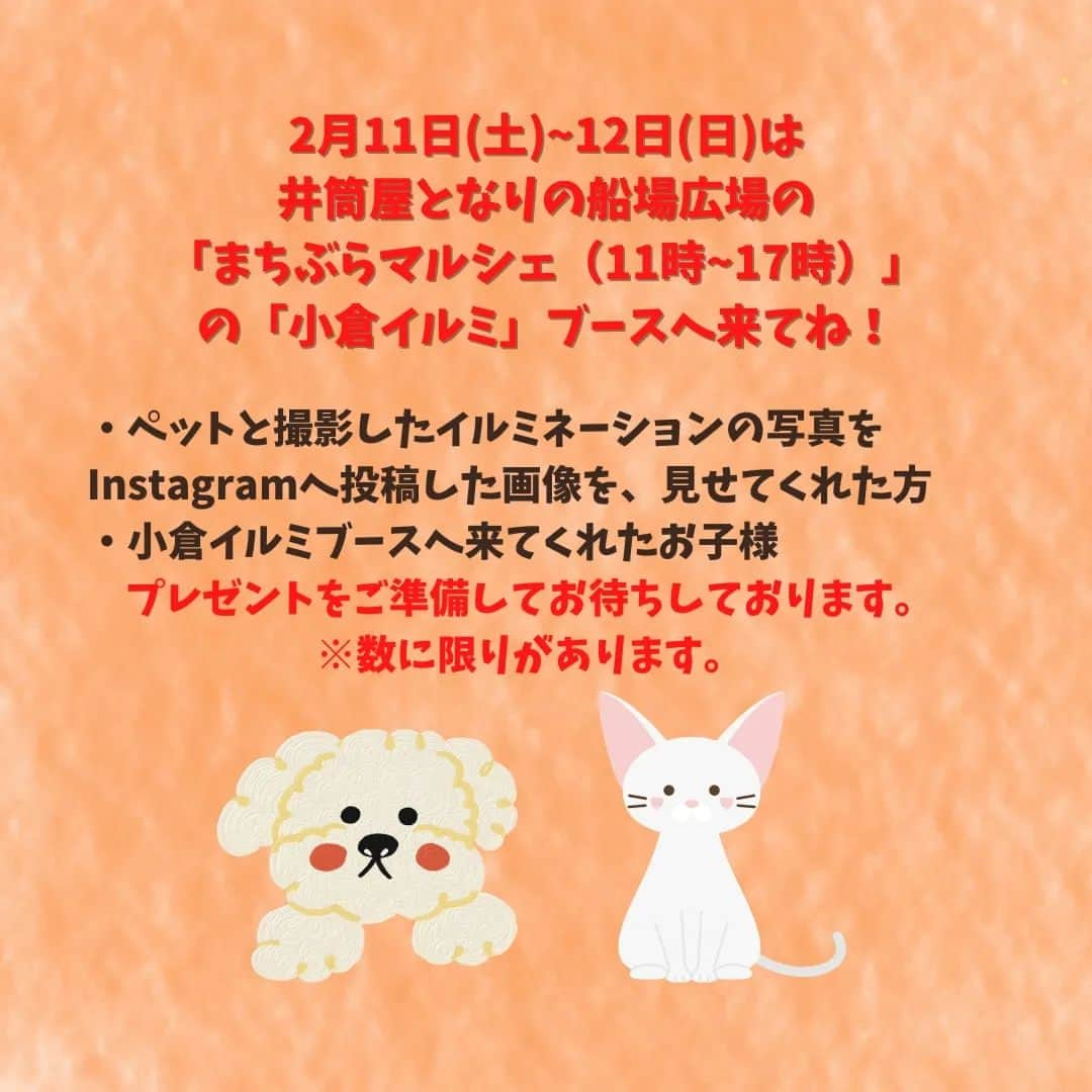 小倉イルミネーションのインスタグラム：「「まちぶらマルシェ」 2月11日(土)、12日(日) 11時~12時　小倉イルミブースあります！  ペットとイルミネーションの写真画像をInstagramへ投稿して、スタッフに見せてください💓 ブースに来てくれたお子様にもプレゼントあります。 ※数に限りがあるので、無くなってしまった場合はご了承ください。  #北九州 #小倉イルミネーション #イルミ #小倉 #kokura #kitakyushu #夜景 #夜景スポット #北九州イベント #kokulovely　#小倉イルミ2022ペットバレンタイン　#犬のいる暮らし　#猫のいる暮らし　#ペットのいる暮らし　#小倉子連れでお出かけ #小倉ペットとお散歩」