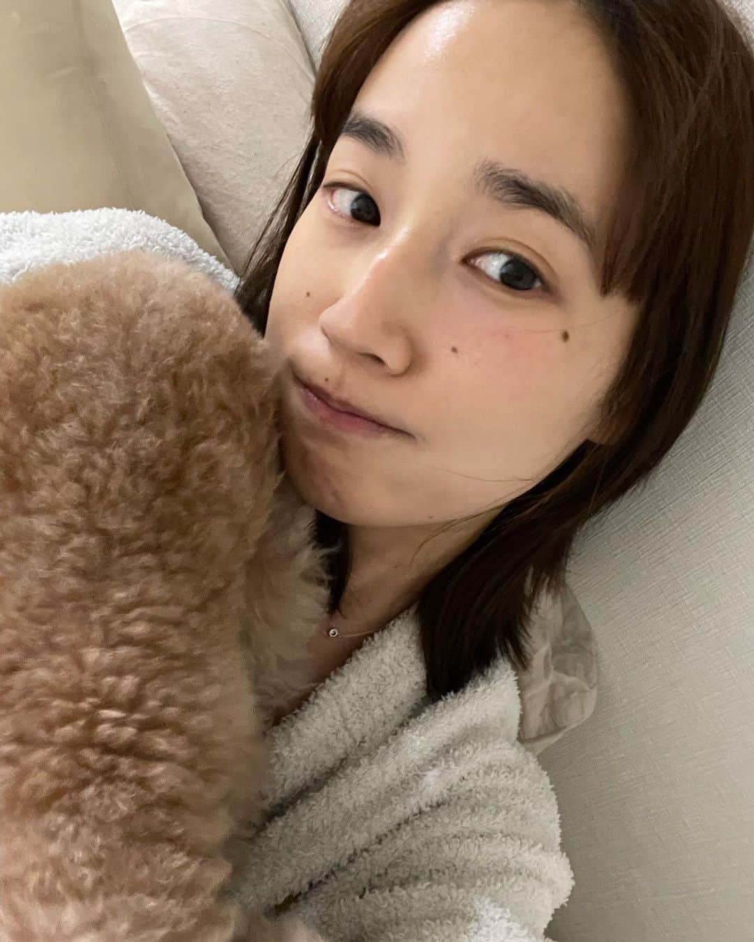 高嶋香帆のインスタグラム：「ナースサロンにて定期的なお肌ケアをしております🤭 プラズマシャワーをしり、そばかすや細かなシミにアプローチしたり、、🫶 お陰様で荒れにくい肌を保てています🫡  茶色いもふもふはサラ様のおちり🍑 私が寝返りしようが、首元を死守。 彼女の大事な寝床みたいです💁‍♀️」