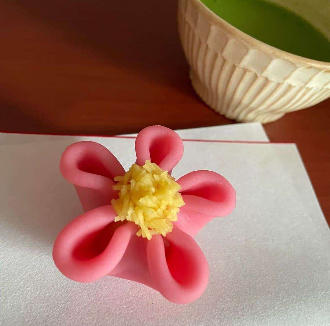住吉美紀のインスタグラム：「金曜の朝は上生菓子とお抹茶で元気チャージ。 季節の彩りも美しい。なにより美味しい🫶 #とらや」