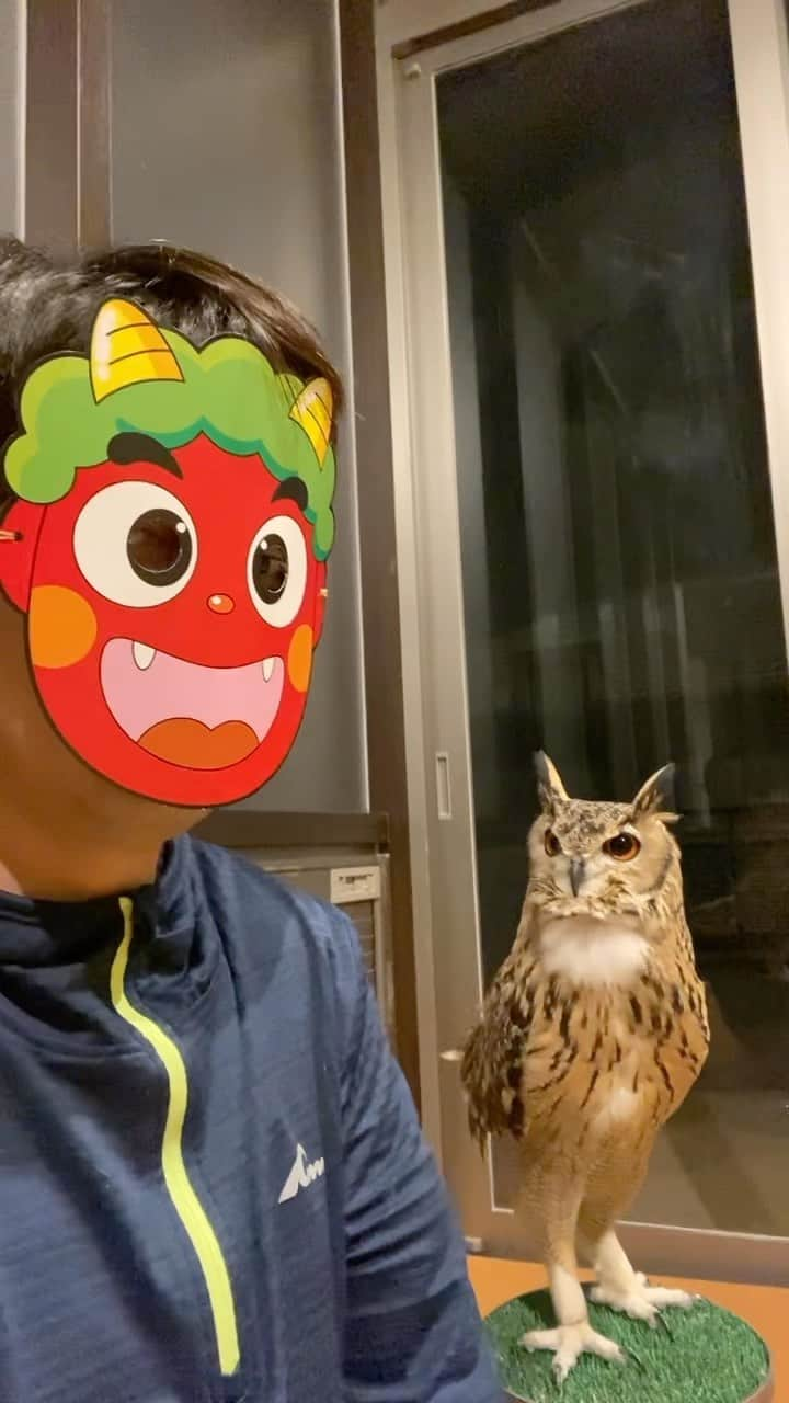 GEN3 Owlのインスタグラム：「鬼はそと、フクはうち @genz64  Garu seems to be wary of Japanese demons.  #owl #owlgaru  #フクロウ #節分」