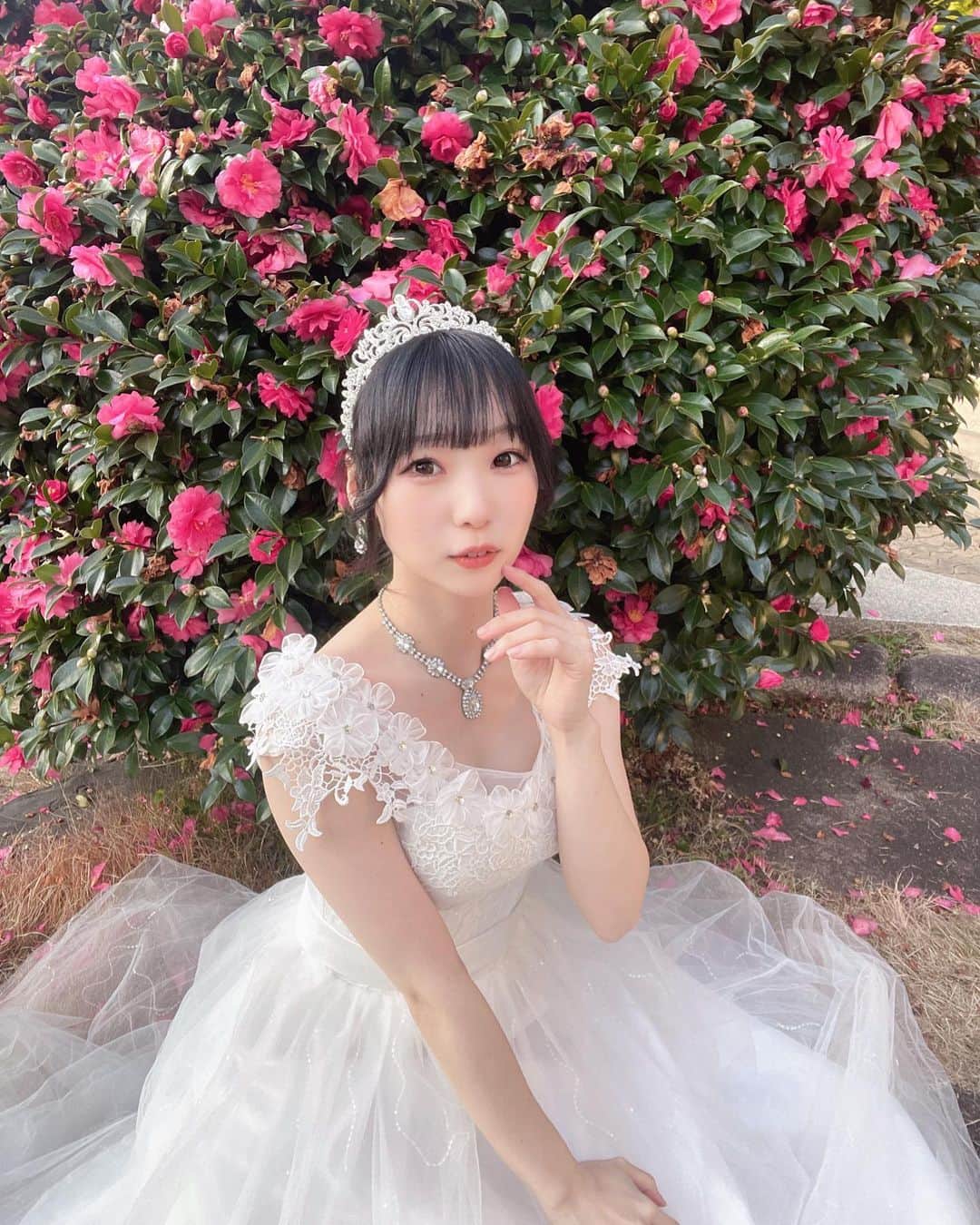 葉山なつみのインスタグラム：「2023年色んな衣装やスタジオで撮影できてうれしいです🩰  その一瞬一瞬をカメラにおさめてね🪞.*·  2/7 ドレス撮影会 2/12 恵比寿野外撮影会 2/14 メイド服撮影会 2/26 野外撮影会  予約はプロフィールURLから💌」