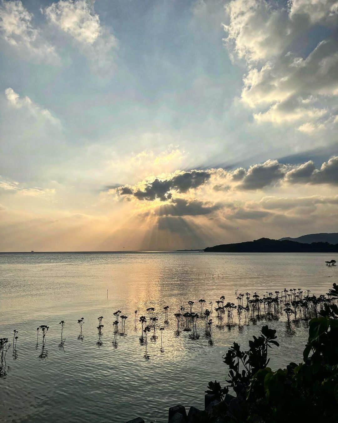 水埜帆乃香さんのインスタグラム写真 - (水埜帆乃香Instagram)「自然って美しい🌴✨  #石垣島」2月3日 14時44分 - honoka_0901