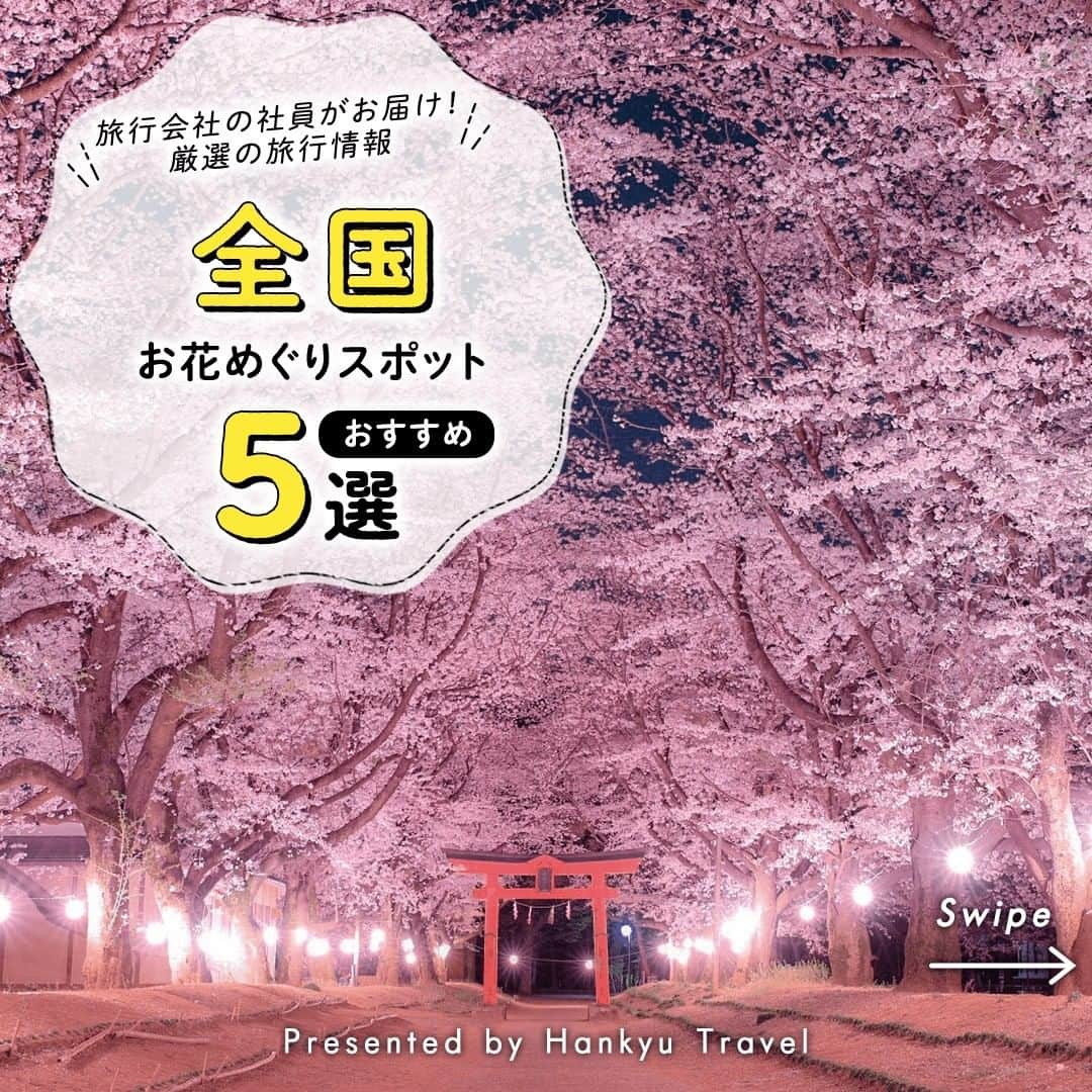 阪急交通社のインスタグラム：「【《全国》一度は行ってみたい！お花巡りスポットおすすめ5選】 旅行会社社員が厳選の旅行情報をお届け！ 今回は、一度は行ってみたい！全国各地の #お花 巡りスポットをご紹介します✨  ーーーーーーーーーーーーーーーー  【下賀茂　河津桜(静岡県)】 伊豆エリアからは2月上旬頃より開花が始まる早咲きの桜＜河津桜＞をご紹介🌸 2月に行われる河津桜まつりでは河津川沿いの約800本もの桜が咲き誇ります！ 📍アクセス:静岡県賀茂郡河津町　河津川河川敷付近  【国営みちのく杜の湖畔公園(宮城県)】 ”みちのく”東北エリアからは、東北唯一の国営公園である国営みちのく杜の湖畔公園をご紹介！ 満開の大花壇、静かな趣の花木園、スイレンの池などテーマ異なる6つのエリアがあなたをお待ちしております✨ 季節に応じて変化する景色をお楽しみください。 📍アクセス:宮城県柴田郡川崎町大字小野二本松53-9  【ハイジの村（山梨県)】 山梨県北西部、茅ヶ岳山麓の標高約750mに位置する山梨県立フラワーセンターにある＜ハイジの村＞。 少女ハイジが暮らした世界観をぜひご体験ください！ 📍アクセス:山梨県北杜市明野町浅尾2471  【北川村「モネの庭」(高知県)】 高知県にある「モネの庭」は「光の画家」クロード・モネが愛したフランス・ジヴェルニーの庭をモデルに創られています。 2023年3月の春の開園から始まる色とりどりの風景をお楽しみに！ 📍アクセス:高知県安芸郡北川村野友甲1100番地  【ハウステンボス　チューリップ祭(長崎県)】 特集の最後は長崎県にある花と光のテーマパーク「ハウステンボス」！ 2月頃より咲くチューリップを皮切りに始まるフラワーフェスティバルは圧巻です🌷 📍アクセス:長崎県佐世保市ハウステンボス町1-1  ーーーーーーーーーーーーーーーー  各地へのご旅行の参考になりましたか？ 投稿が良いなと思ったら、いいね＆保存＆フォローをよろしくお願いします♪  ※内容は投稿日時時点の情報です。状況により変更となる可能性がございます。 ※過去に掲載した情報は、期限切れの場合がございます。  #阪急交通社 #お花見 #桜 #観光 #静岡 #下賀茂 #河津桜 #河津桜まつり #宮城 #国営みちのく杜の湖畔公園 #みちのく #山梨 #ハイジの村 #山梨県立フラワーセンター #高知 #北川村 #モネの庭 #ジヴェルニーの庭 #クロード・モネ #長崎 #ハウステンボス #チューリップ #フラワーフェスティバル #夜桜 #絶景 #絶景スポット #インスタ映え #国内旅行 #旅行」