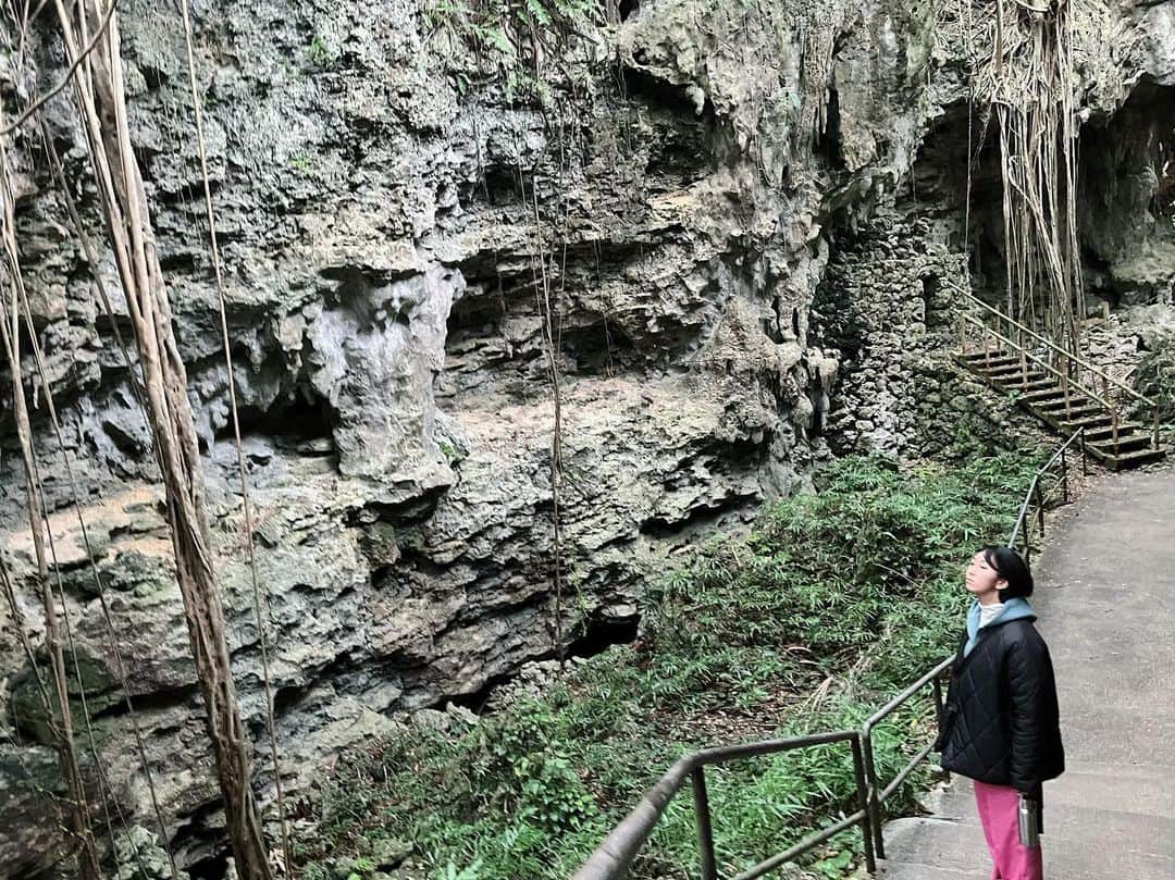 辻やすこのインスタグラム：「沖縄写真②  ガンガラーの谷。  ここは数十万年前の鍾乳洞が崩れてできた太古の谷。  2枚目はガンガラーの谷の入り口でカフェ☕️も楽しむ事出来るよ❗️  大きなガジュマル君も見ました❤️🌳  ガンガラーの谷は要予約✅  오키나와의 사진📸 여기는 간가라 계곡이 거든요☺️ 입구에는 카페가 있어서 큰  나무 “가주말” 를 봤어요🌳 가주말 여행 가이드는 예약이 필요 있어요✅  #ガンガラーの谷  #ガンガラーの谷ケイブカフェ  #ケイブカフェ  #caveカフェ #ガジュマル #ガジュマルの木  #沖縄 #鍾乳洞  #太古 #cave #cafe #okinawa #travel  #오키나와  #오키나와여행  #카페 #종유동 #석회동 #가주말나무  #태고」