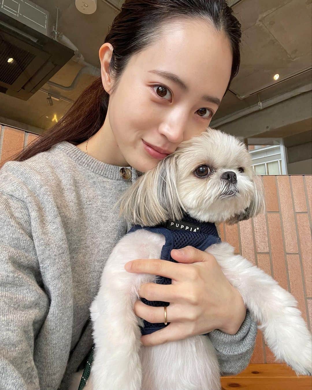 のインスタグラム：「今日もシエルと朝コーヒー☕️ 夫も一緒に👨🏻‍🦱 ㅤㅤㅤㅤㅤㅤㅤㅤㅤㅤㅤㅤㅤ #シーズー」