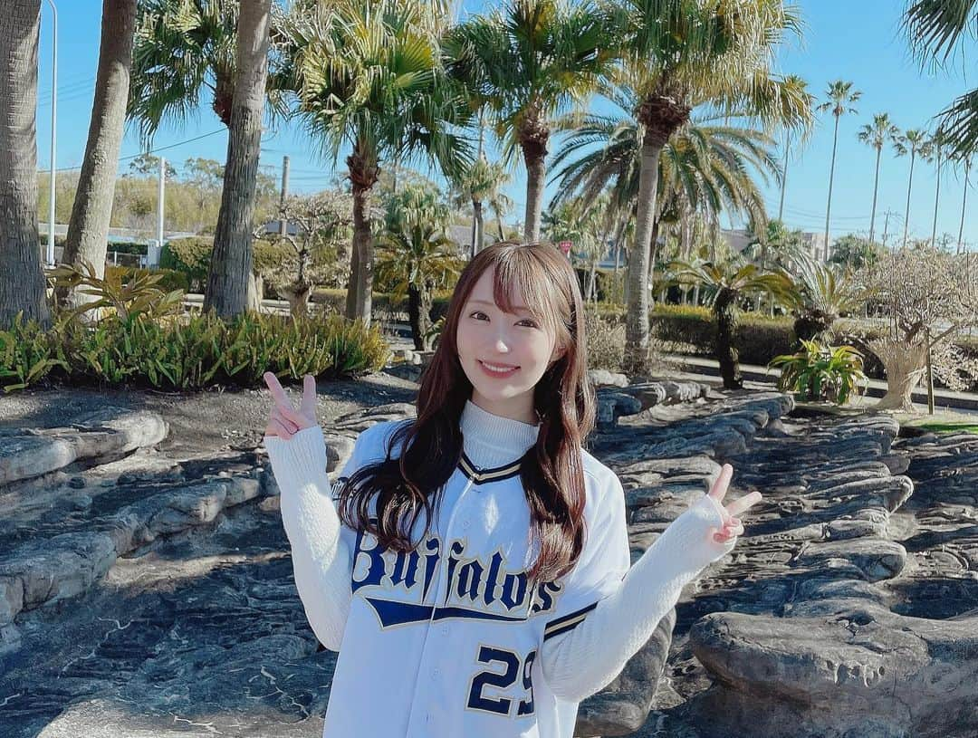 小島まゆみさんのインスタグラム写真 - (小島まゆみInstagram)「宮崎県に初上陸🌴✨  今回、 #姫ラジ でオリックスの宮崎キャンプ旅をしてきました🙋‍♀️  写真たくさん撮ったのでUPしていきます♩  #Bs2023 #オリ姫 #SOKKENスタジアム #オリックス優勝パレード #オリックス宮崎キャンプ　#野球好きな人と繋がりたい #野球観戦 #野球女子 #野球部  #野球写真  #ユニフォーム女子 #プロ野球  #NPB #ORIX #orixbuffaloes #オリックスバファローズ #bs2022  #ユニフォームコーデ  #ハイクオリティユニフォーム #オリックス好きやねん  #オリックスファンと繋がりたい」2月3日 20時42分 - kojima_mayumi_