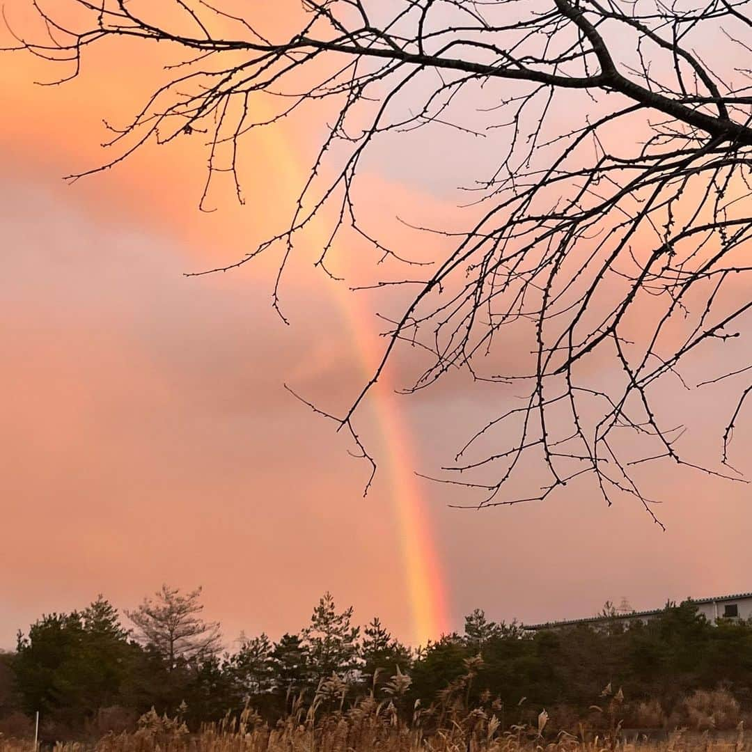 深尾あむさんのインスタグラム写真 - (深尾あむInstagram)「🌈」2月3日 21時03分 - amufukaofficial