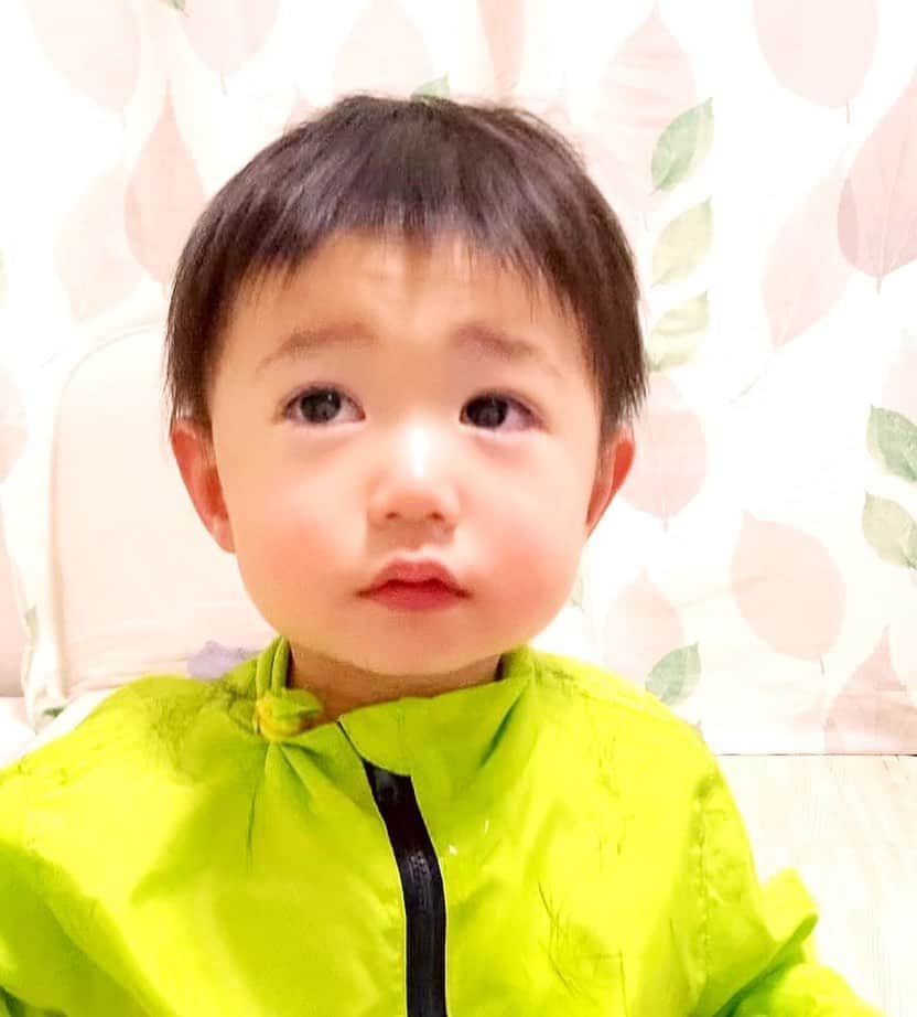 花原あんりのインスタグラム：「まるくんの髪がのびていたので ママカット✂️ いつもバリカンの音にギャン泣きちゃん（ ; ; ）ごめんねといいつつもカットするママでした（ ; ; ） #セルフカット #2歳 #バリカン #花原あんり」