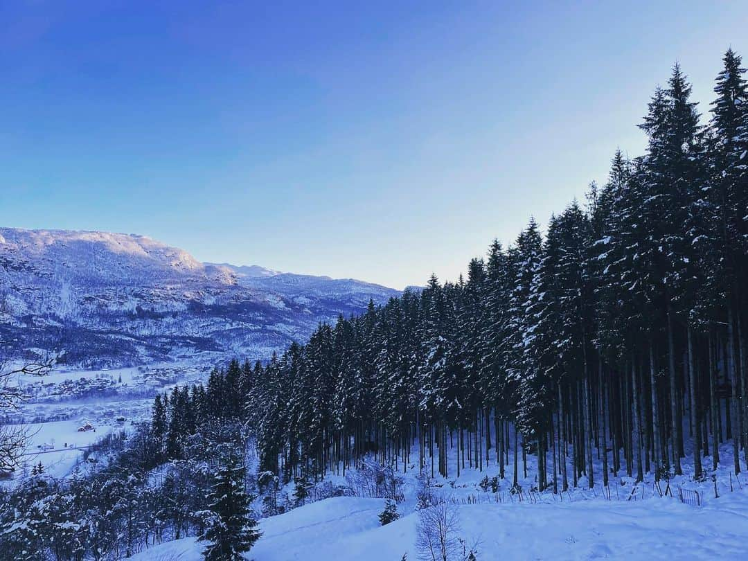 スルギさんのインスタグラム写真 - (スルギInstagram)「“Pebrero tres”  📸:Christian Ardie Dawal  #sony  #photography  #naturephotography  #dji  #norway  #winter  #snow  #foryou  #videography」2月4日 1時19分 - kristiandawal29