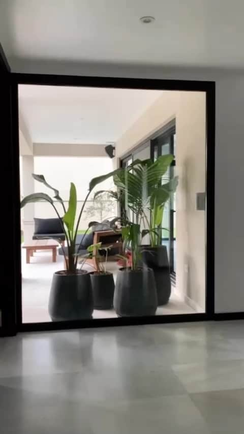 エミリアーノ・インスアのインスタグラム：「Increíble intervención en manos de @rufaplantas 🍀  Muchas gracias por mejorar los espacios de 🏡 🌴  #Olivo #alocacia #Palmera #monsteradeliciosa #Deco #Plantas #paisajismo」