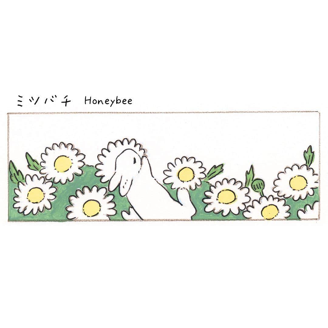 森山標子(しなこ)/Schinakoのインスタグラム：「"Honeybee"🌼 「ミツバチ」🐝🌼🐇」