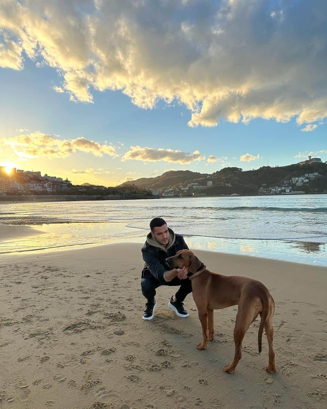 ミケル・メリノのインスタグラム：「🐶🤎」
