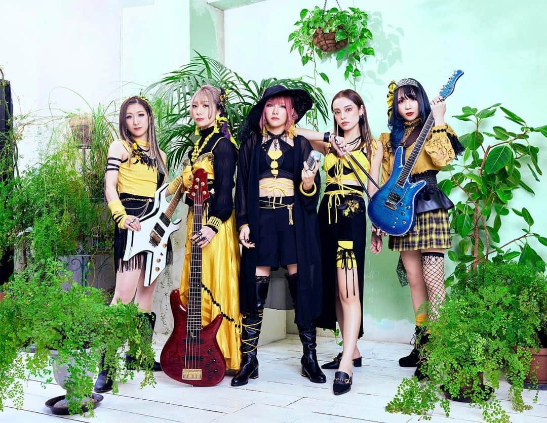 のインスタグラム：「2月12日(日)  PARADOXX結成2周年 3rd single 「 Day's eye 」発売 ⁡ 記念LIVEやります！！！！ ⁡ 会場 目黒ライブステーション ⁡ 開場17:30 開演18:00 ⁡ チケット 前売り￥3500 当日￥4000 ⁡ 出演 🌼PARADOXX🌼 Full MooN HADES ⁡ チケット🎫 .·予約は インターネットで「PARADOXX」と検索していただくとオフィシャルHP出てきますので、そちらからお願い致します🙇‍♀️🙏  https://paradoxx.tokyo/ ⁡  🌼🍃🌼🍃🌼🍃🌼🍃🌼🍃🌼 ⁡ 2月12日のライブで、この衣装初お披露目になります✌️ しかも周年記念だから、グッズで売っている「ランダムチェキ」がいつもよりかなり豪華になってます~~~😆 まじ楽しみすぎてやばい！！！ そしてぜひ遊びに来てください！！！ 絶対楽しいよ🔥🔥🔥 ドラマー🥁のSHONOもよろしく😘✌️ ⁡ ⁡ 🌼🍃🌼🍃🌼🍃🌼🍃🌼🍃🌼 ⁡ #PARADOXX #ガールズバンド #girlsband #ドラム #ドラム女子」