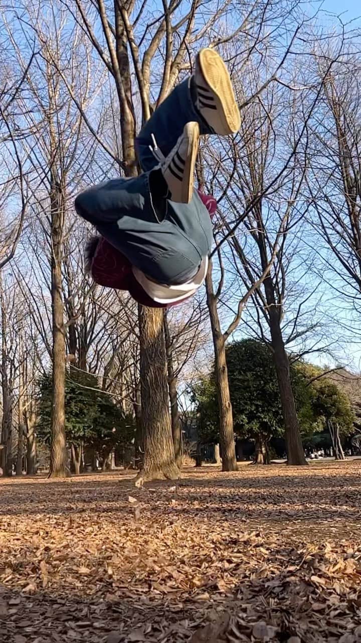 佐藤綾人のインスタグラム：「久しぶりのリール🍂  #佐藤三兄弟 #一卵性 #三つ子 #アクロバット #男子新体操 #トリッキング #triplets #acrobat #rhythmicgymnastics #tokyo #japan #tricking」